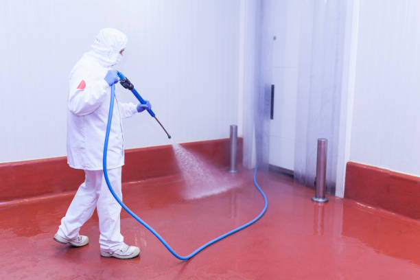 Best Patio and Deck Pressure Washing  in Taos Pueblo, NM
