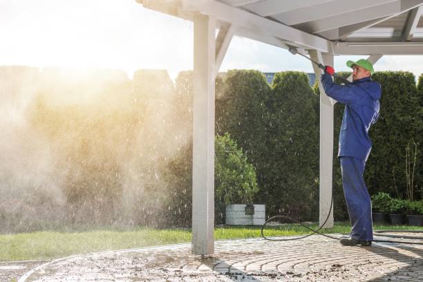 Best Driveway Pressure Washing  in Taos Pueblo, NM